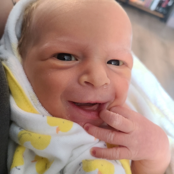 Meet your Posher, Elizabeth - Picture 2 of 10